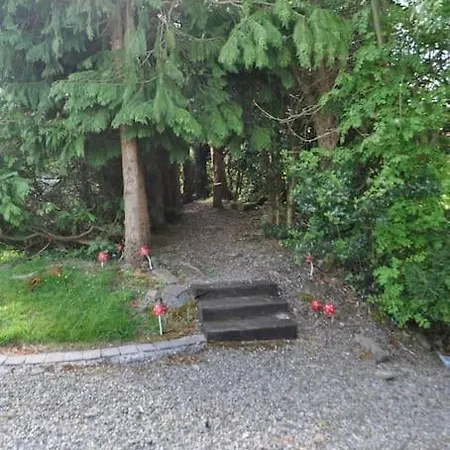 Shannon Airport Collection And Drop-off Included Bed & Breakfast